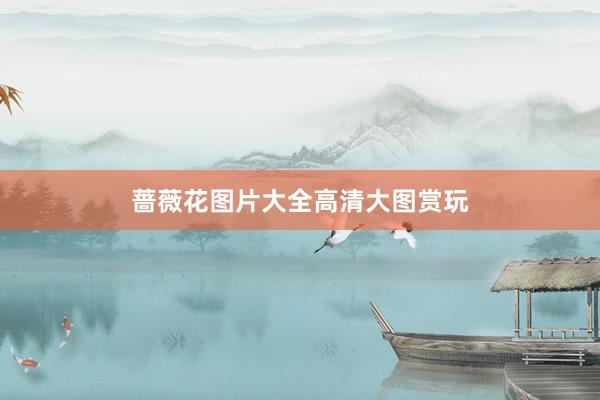 蔷薇花图片大全高清大图赏玩