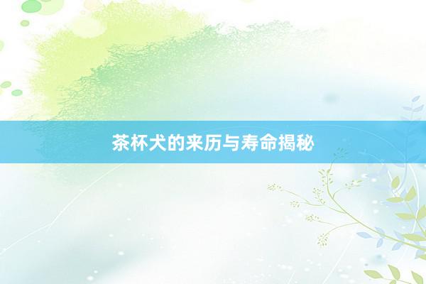 茶杯犬的来历与寿命揭秘